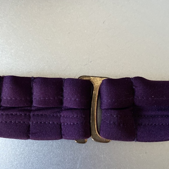 Brand new plum bikini padded top-smoke free home - Picture 2 of 3